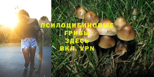 мдпв Михайлов