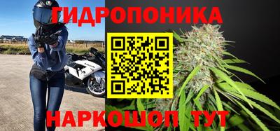 дмт Волжский