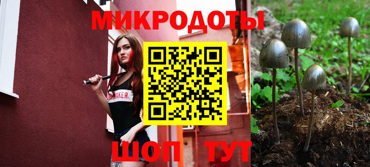 Галлюциногенные грибы Magic Shrooms Канаш