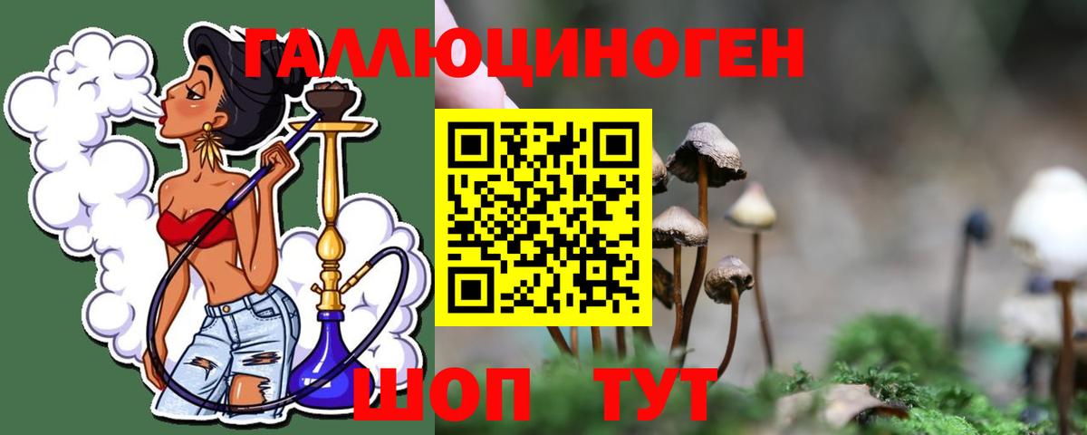 Псилоцибиновые грибы ЛСД Канаш