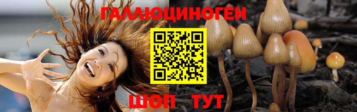 Галлюциногенные грибы Magic Shrooms  Вход с VPN  Канаш 