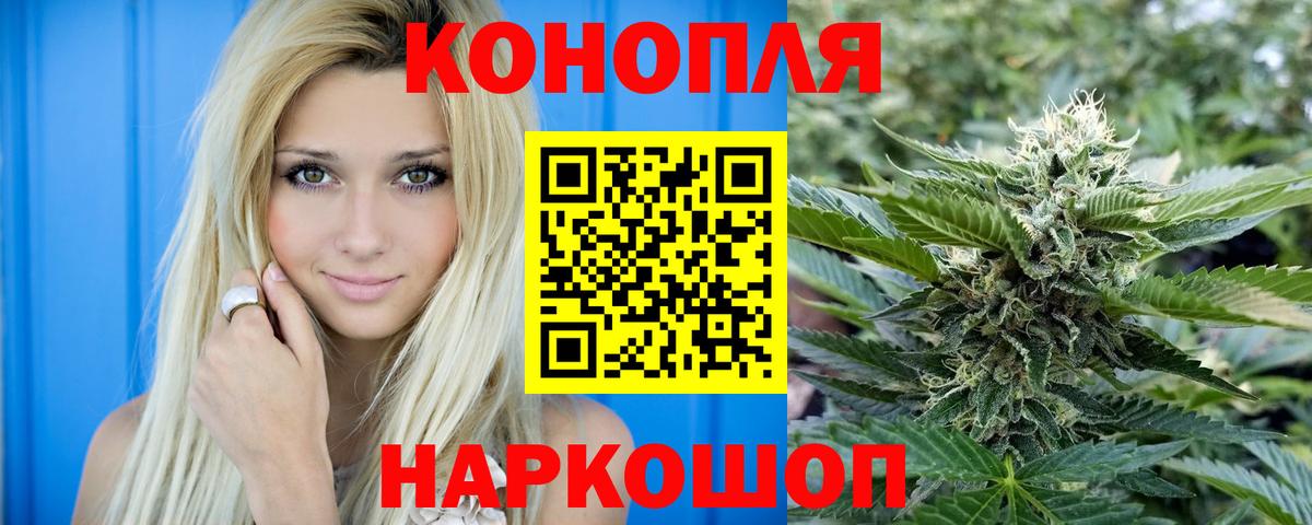 Бошки марихуана ГИДРОПОН Канаш